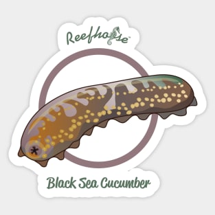 Black Sea Cucumber Sticker